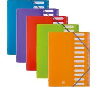 Trieur Oxford school life A4 12positions polypro translucide assorti