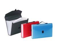 Trieur valisette 12 compartiments A4 Polypropylène - PROPYGLASS - Viquel - 38,5 x 25,5 x 6 cm