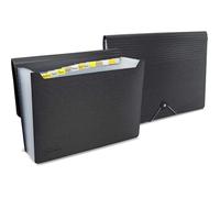 Rapesco Trieur extensible 1638 – 12 compartiments – 33 x 24 cm – Noir