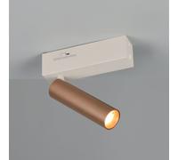 TRIO Leuchten Ambala Projecteur, LED, 849210165,