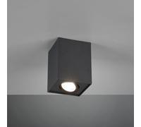 TRIO Leuchten Biscuit Projecteur, GU10, 613000132,