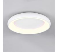 TRIO Leuchten Cardona Plafonnier, LED, 649616031,