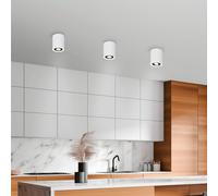 TRIO Leuchten Cookie Projecteur, GU10, 612900134,