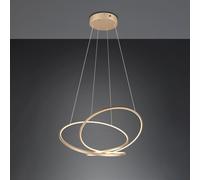 TRIO Leuchten Darvin Suspension LED, 349119179,