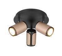 TRIO Leuchten Gillan Projecteur GU10, 814530365,