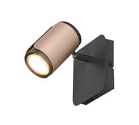TRIO Leuchten Gillan Projecteur GU10, 814570165,