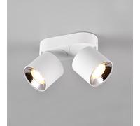 TRIO Leuchten Guayana Projecteur, GU10, 651000231,