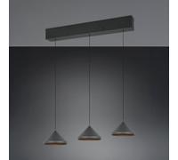 TRIO Leuchten Laguna Suspension à 3 sources lumineuses, LED, 336210332,
