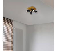 TRIO Leuchten Marley Projecteur, GU10, 812400432,