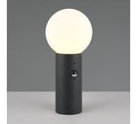 TRIO Leuchten Mures Potelet E27, 569869142,