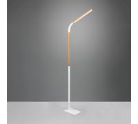 TRIO Leuchten Norris Lampadaire LED, 445210131,
