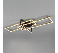 TRIO Leuchten Salinas Plafonnier, LED, 620310308,