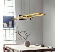 TRIO Leuchten Salinas Suspension, LED, 320310308,