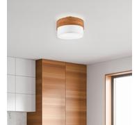 TRIO Leuchten Seasons Plafonnier, E14, 611500201,