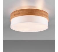 TRIO Leuchten Seasons Plafonnier, E27, 611500301,