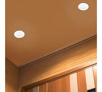 TRIO Leuchten Zagros Projecteur, LED, 650710131,