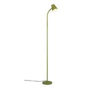Trio lighting Lampadaire Pongo RL - Vert
