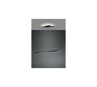Trio lighting Suspension LED Belfast - Noir