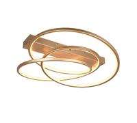 TRIO Leuchten Darvin Plafonnier LED, 649110179,