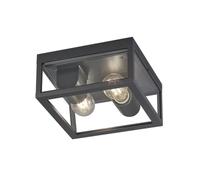 Trio-Leuchten Plafonnier Garonne Vintage E27 2 lumières Anthracite IP44