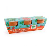 Trio pots gourmands - graines à semer