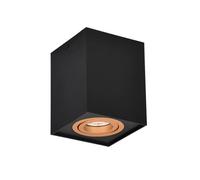 TRIO Leuchten Biscuit Projecteur, GU10, 613000180,