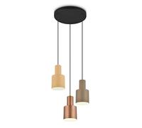 TRIO Leuchten Agudo Suspension à 3 sources lumineuses, 319430317,