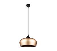 TRIO Leuchten Chiron Suspension ovale à 1 source lumineuse, 310890108,