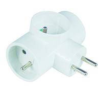 Triplites 3x16a