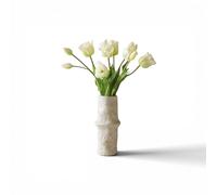 Triumph Tulip Bouquet Blanc