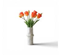 Triumph Tulip Bouquet Orange