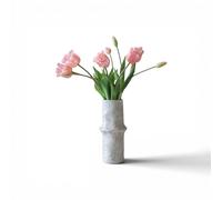 Triumph Tulip Bouquet Rose Clair