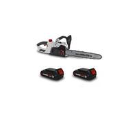 Tronçonneuse 40v (2x20v) xptro40li-2b - double sécurité - graissage auto + 2 batteries 2 ah