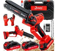 Tronçonneuse sans fil 8" pour branches avec 2 batteries