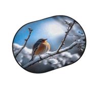 TropicalLife Tapis de porte d'entrée motif arbre d'hiver oiseau pour salon, cuisine, maison, salle de bain, tapis lavable pour intérieur et extérieur, paillasson antidérapant 40 x 60 cm
