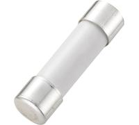 TRU COMPONENTS Fusible de multimètre (Ø x L) 6.35 mm x 25,4 mm 1 A 250 V, rapide -F- 110102700109X contenu 1 pcs.