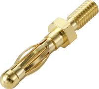 TRU COMPONENTS MP-50 Fiche banane femelle, droit Ø de la broche: 4 mm jaune or Bulk