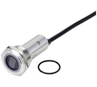 TRU COMPONENTS TC-10091088 ONPOW91-25E10BYSSNR12-24VDC Interrupteur sans contact 12 V, 24 V 300 mA 1 x Off/(On) à rappel rouge