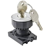TRU COMPONENTS TC-10343992 S3KF-2DS Elément frontal pour commutateur à clé clé argent 1 x 90 ° 1 pc(s)