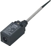 TRU COMPONENTS XZ-9/107 Interrupteur de fin de course 250 V/AC 10 A tige à ressort, levier plastique à rappel IP65 1 pc(s)