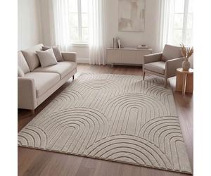 TT Home Tapis de Salon Chambre à Coucher Tapis à Poils Longs Facile d'entretien Doux Lavable Uni Design Moderne Aspect, Couleur:Beige 1, Dimension:160x220 cm