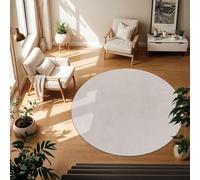 TT Home Tapis Poil Ras Tapis De Salon Monochrome Design Moderne Lavable, Couleur: Argent, Dimension:160 cm Rond