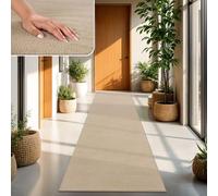 TT Home Tapis Poil Ras Tapis De Salon Monochrome Design Moderne Lavable, Couleur: Beige Foncé, Dimension:60x100 cm