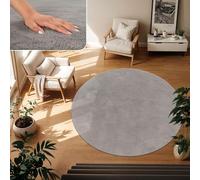 TT Home Tapis Poil Ras Tapis De Salon Monochrome Design Moderne Lavable, Couleur: Gris, Dimension:80 cm Rond
