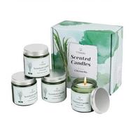 TTRWIN Lot de 4 bougies à la citronnelle pour l'extérieur, adaptées pour les barbecues, les pique-niques ou le camping, le thé de l'après-midi et les réunions de famille, le cadeau pour la famille et