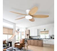 Ttrzlrb Ventilateur Plafond Avec Lumiere Silencieux, Lustre Ventilo De Plafond Avec Lampe Intégrée Réversible DC Moteur, LED Luminaire Ventilateur Plafonnier Pour Chambre Salon Cuisine