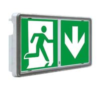 Tubconcept Evacuation Panneau d'évacuation Aluminium Rouge LED IP65/IP44 IK08 136 lm - Sortie, Montage mural, Industriel, Paysage, Avertissement, Sortie, One Size, 1 unité