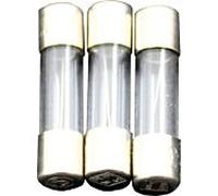 Tube de verre fusible Wolf 630mA 2744813 pour BVG-Lambda 15-40