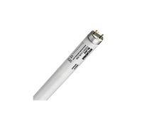 Sylvania Lighting – Tube fluorescent F20W T12 Quantum G – 20 W Culot G13