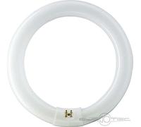 Tube fluorescent circulaire 32 W Ø30 cm triphosphore 840 K lumière jour PHILIPS